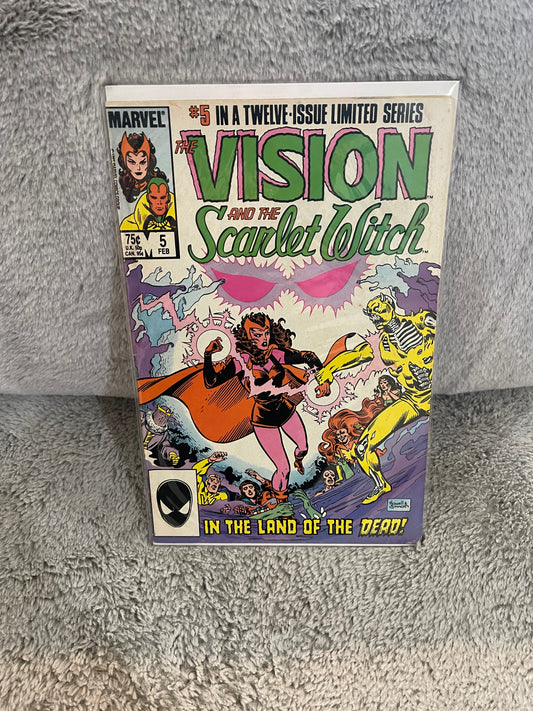 Vision and the Scarlet Witch 5