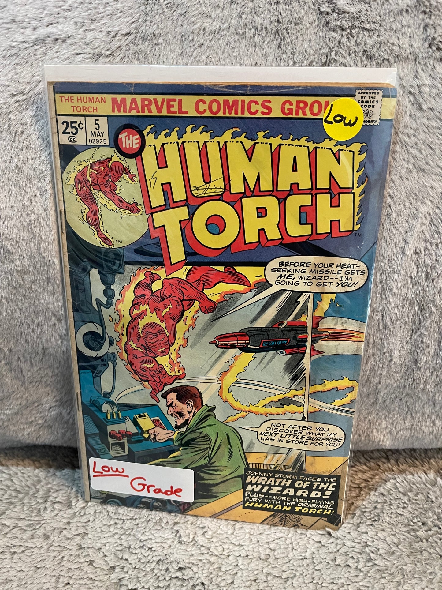 Human Torch 5