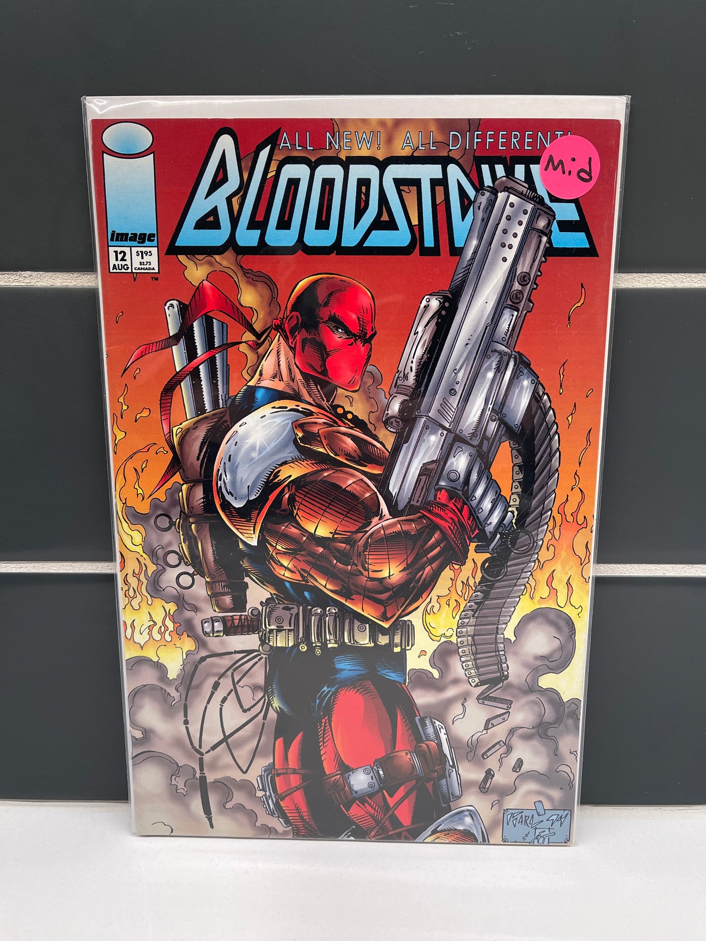 Bloodstrike 12 (1994)