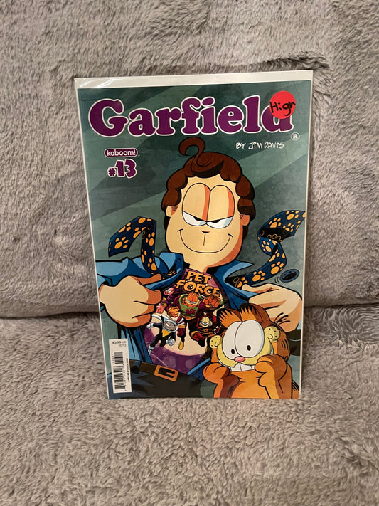 Garfield 13