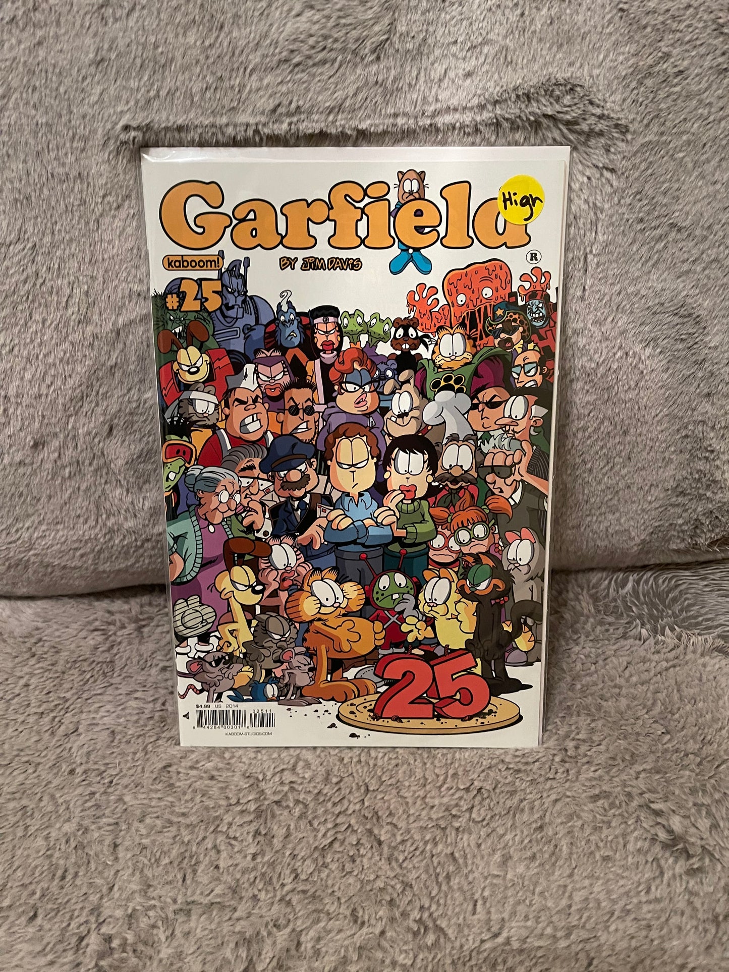 Garfield 25