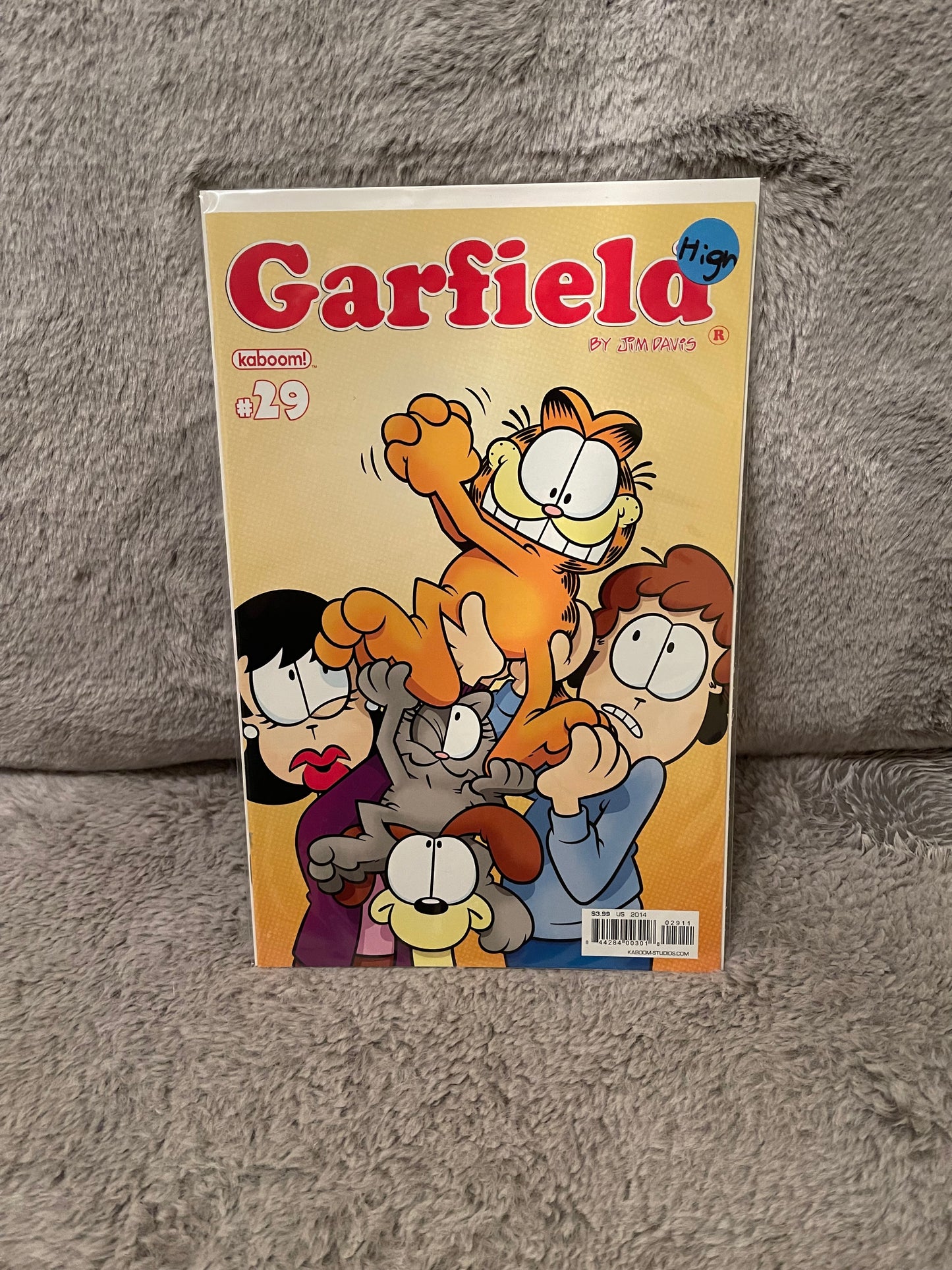 Garfield 29