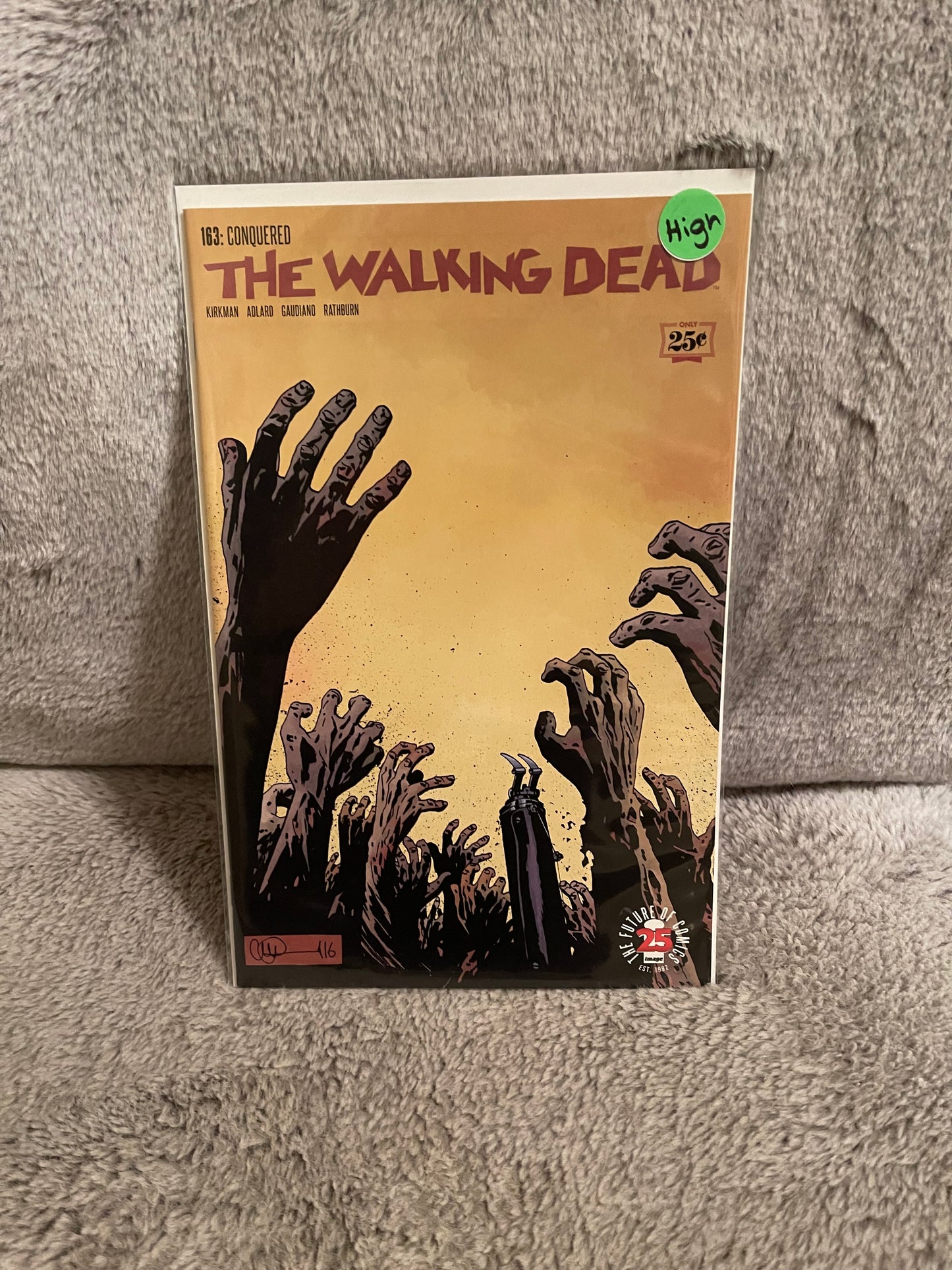 Walking Dead 163