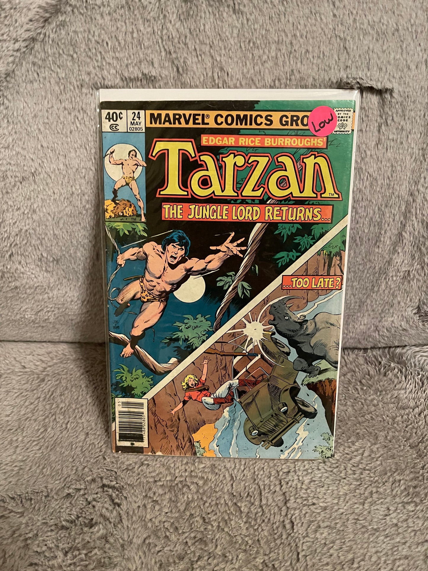 Tarzan 24