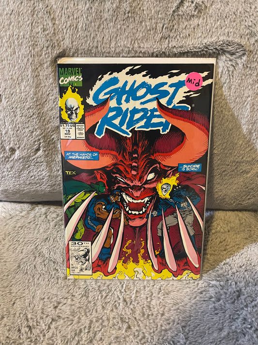 Ghost Rider 19